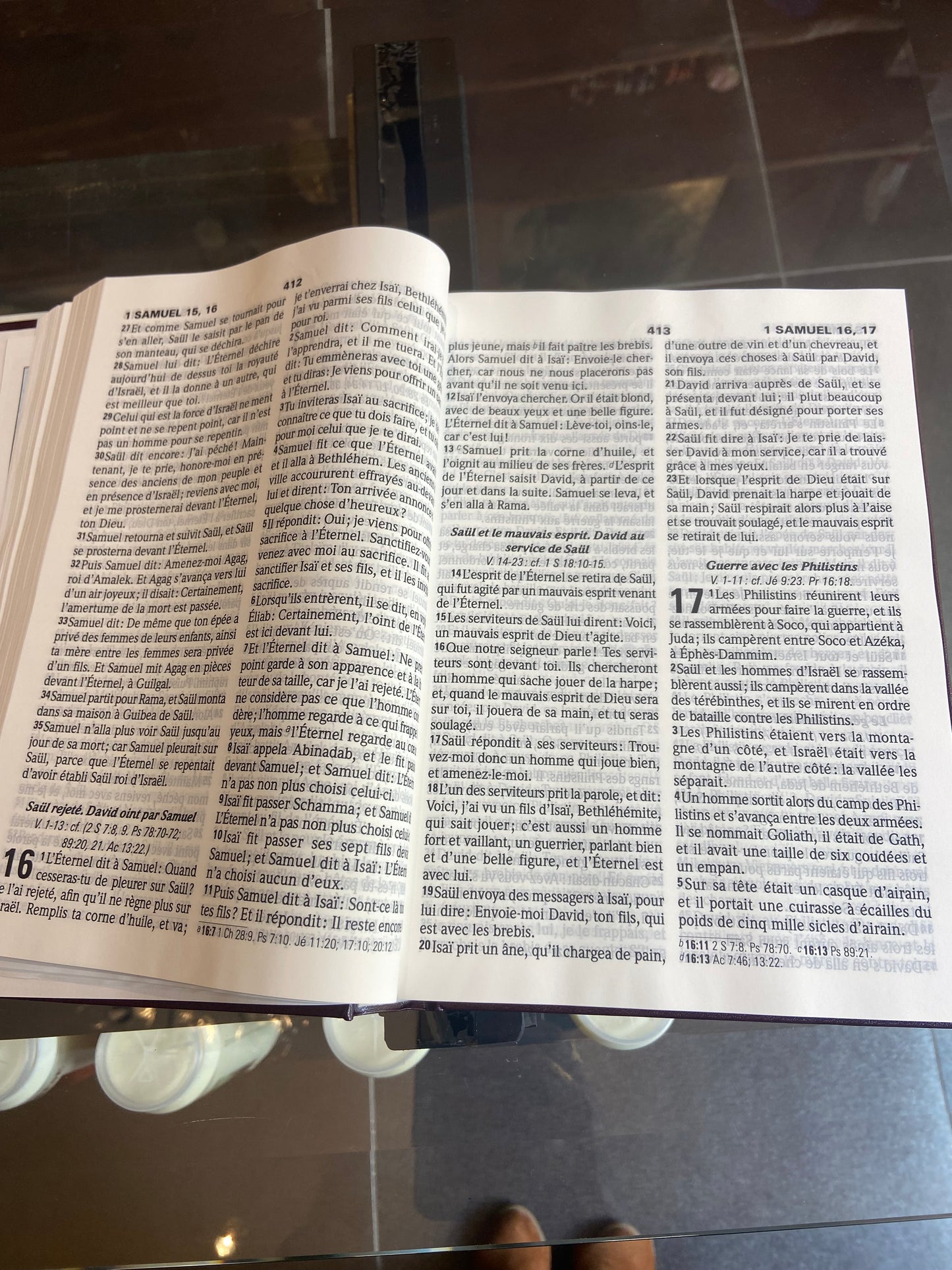 Bible version Louis Segond- Gros caractère